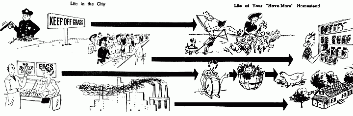 The differences between city life and country life are vast.